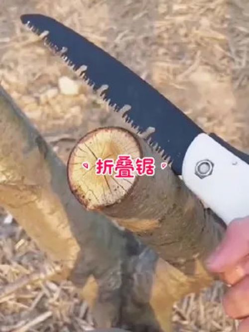 德國品質，匠心之選 探索德國進口折疊手工鋸在園林工具中的卓越應用